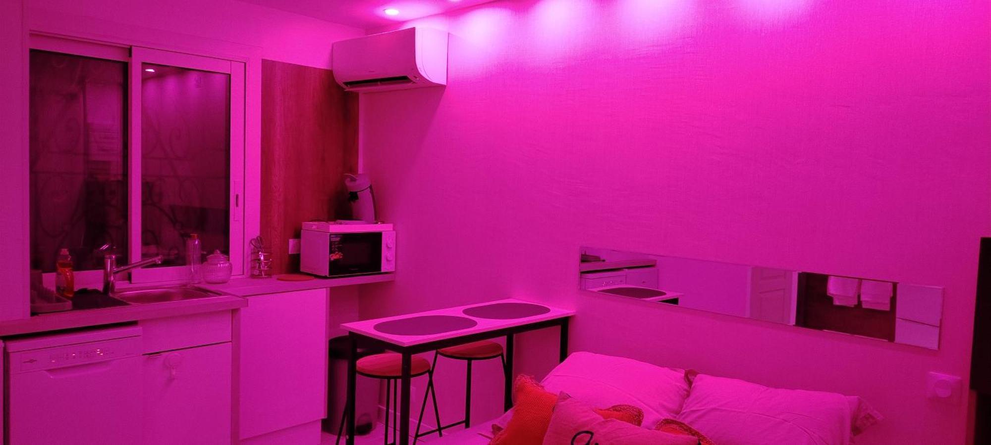 Studio Cosy Balneo Avec Jardin Le Barcarès Zewnętrze zdjęcie
